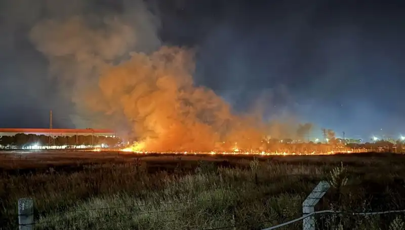 İzmir'de Gece Yarısı Korkutan Yangın: Vatandaşlar Panik İçinde!