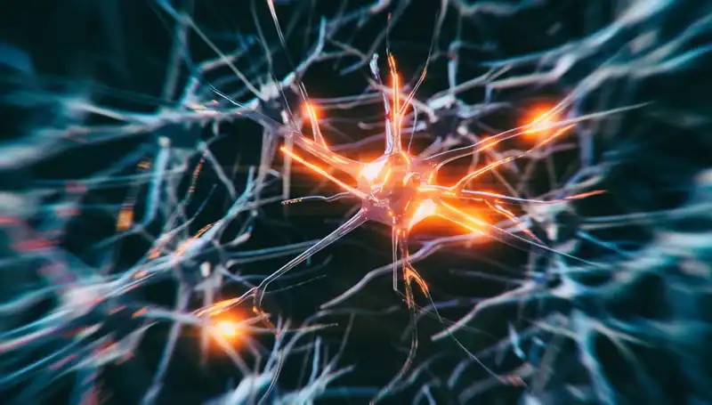 Alzheimer Vakalarında Şok Artış! Nedenlerini ve Çözüm Önerilerini Keşfedin