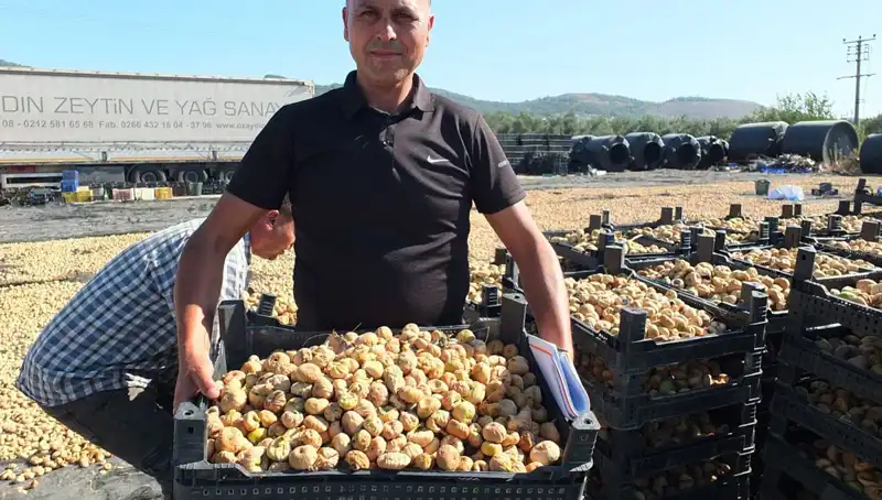 Balıkesir'de Tarım Sezonu Açıldı: Çin ve Rusya'ya İhracat Yapılıyor!