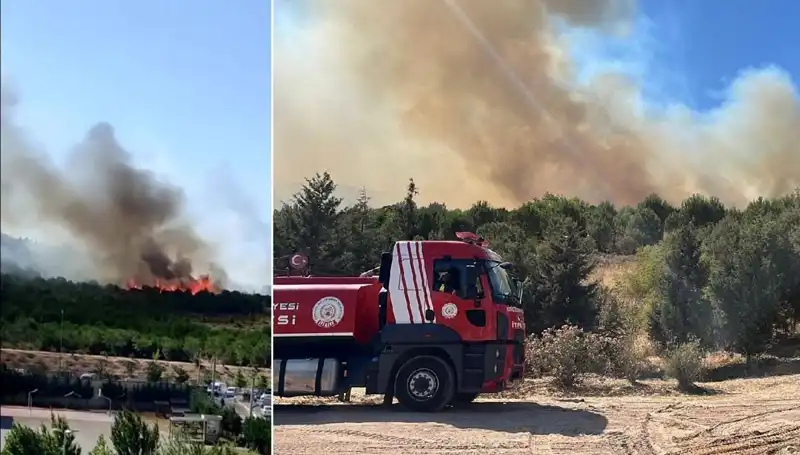 Gebze’de Korkutan Orman Yangını: Ekipler Seferber Oldu
