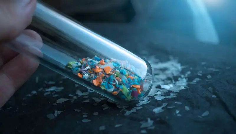 Mikroplastikler, İnsan Beynine Sızarak Sağlığı Tehdit Ediyor!