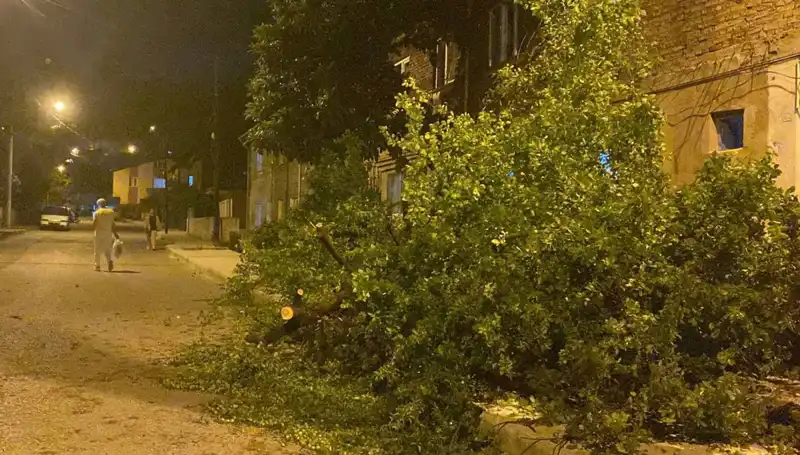 Karabük’te Şiddetli Fırtına Hayatı Olumsuz Etkiledi: Son Gelişmeler