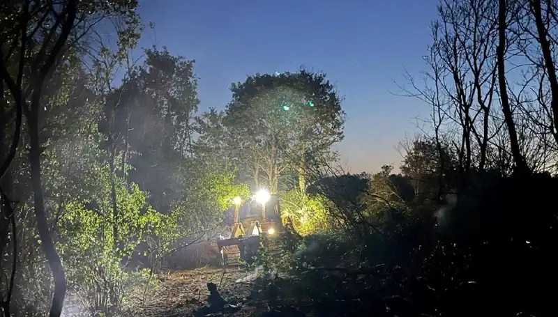 Edirne'deki Orman Yangını: Ekipler Zorlu Mücadele Sonrası Alevleri Söndürdü