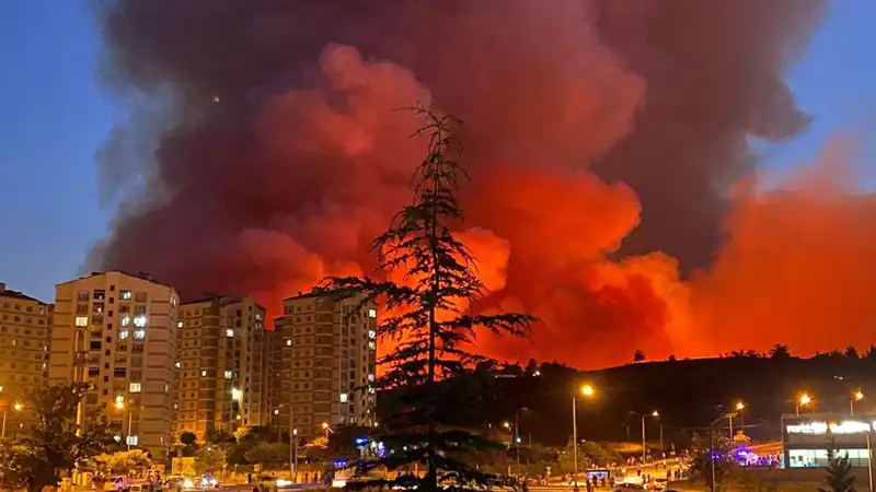 Bursa'nın Yüreğini Yakan Yangınlar: Şehirde Kriz Oluştu