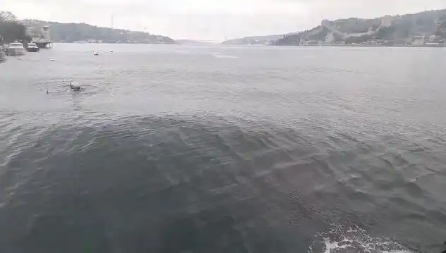 İstanbul Boğazı'nda Dalgalar Neden Yükseldi? Tüm Ayrıntılar Burada!