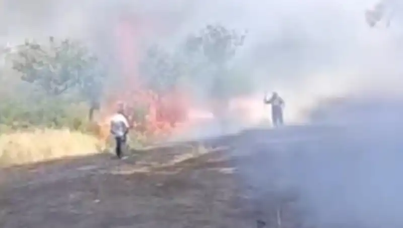 Çay Demlemek İçin Yakılan Ateş, Fıstık Ağaçlarına Zarar Verdi