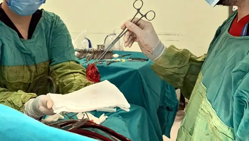 Kalp Kapağı Çürümüştü, 7 Saatlik Ameliyatla Hayat Kurtarıldı