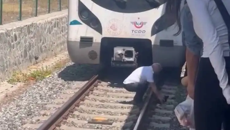 Marmaray’daki Kediyi Fark Etti, Makinist Durumu Tüm Yolcularla Paylaştı