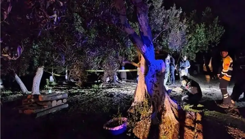 Çiftlikte Baltalı Vahşet: Bir Kişi Tutuklandı, Olayın Perde Arkası
