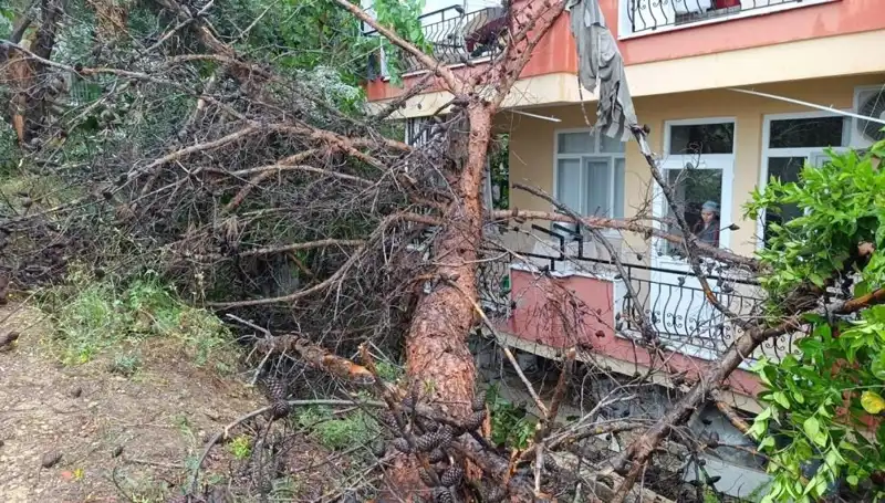 Aşırı Yağışlar Sonrası Korkunç Anlar: Bina Devrildi!