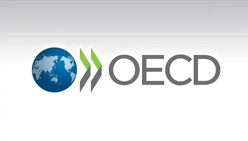 OECD, Türkiye’nin Büyüme Tahminini Yükseltti: Ekonomik Beklentilerde Yenilik
