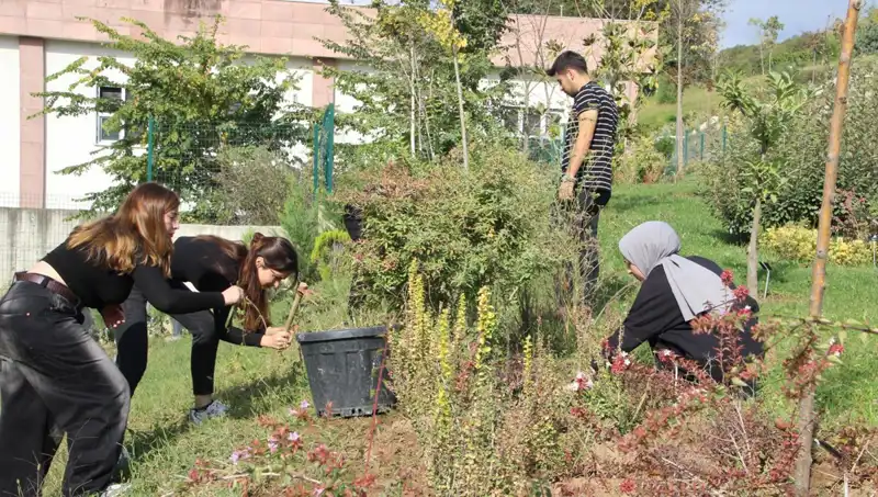 Düzce'nin Hayali Gerçeğe Dönüştü: Dünya Çapında Tanınan Başarı