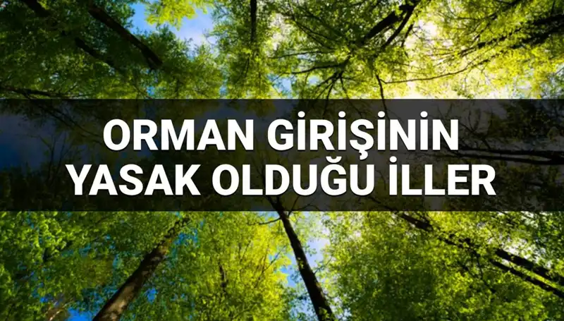 2025 Yılı için Ormana Giriş Yasağı Uygulanan İller Açıklandı