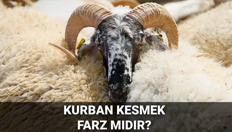 Dinimizde Kurban Kesmenin Yeri ve Önemi Nedir?