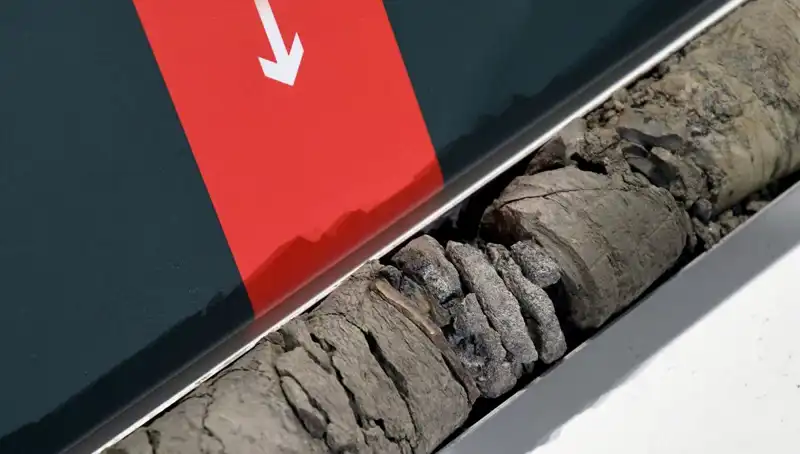 Müze Otoparkında Şaşırtıcı Dinozor Fosili Keşfi: Bilim Dünyasında Heyecan Yarattı