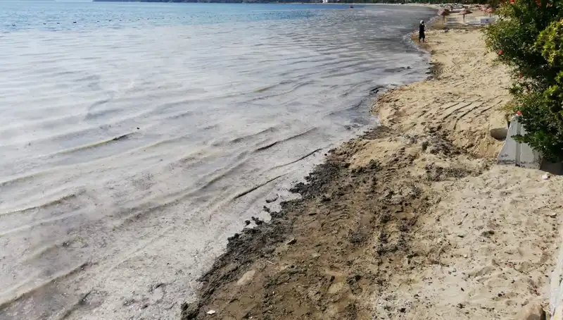 Müsilajla Mücadelede Şok Gelişme: 268 İşletmelik Faaliyete Durdurma Kararı!