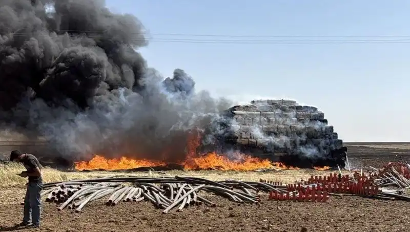 Mardin'de Korkutan Anız Yangınları: Tarım Alanları Tehlikede